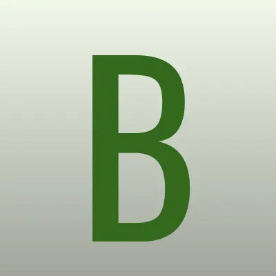 Баско, лого-визитка