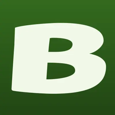 BonoDono.ru, магазин подарков, подарочных сертификатов и подарков-впечатлений, лого-визитка