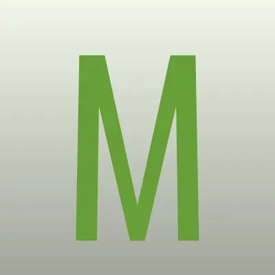 Magora Systems, IT-компания, лого-визитка