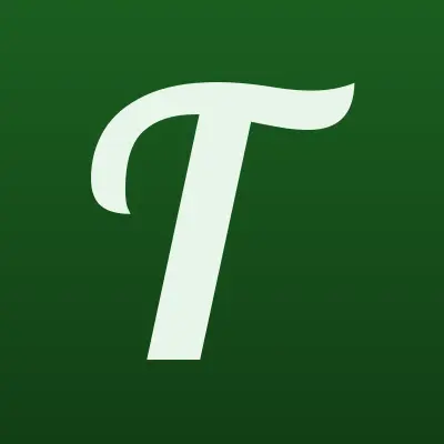 Тонировка за ЧАС, тонировочный центр, лого-визитка
